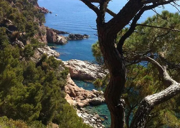 Casa Dolores Style Catalan Villa Begur